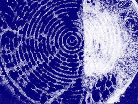 abstrakcja, sztuka figuratywna, sztuka abstrakcyjna, szokujący, techniki automatyczne, kalkografia