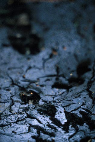 kompozycja otwarta, kompozycja zamknięta, sztuka książki, martin Buber, taoizm, kompozycja, artysta, sztuka